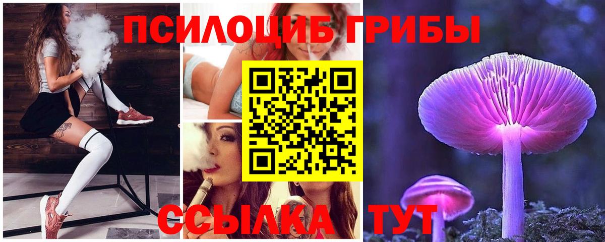 Назрань  Галлюциногенные грибы Magic Shrooms  Галлюциногенные грибы Psilocybine cubensis  Вход с VPN 